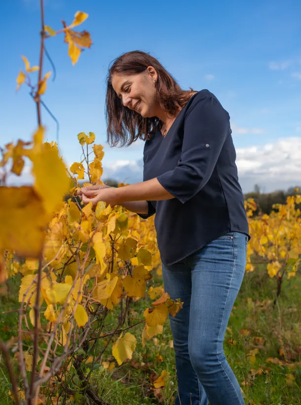 Communication pour les vignobles